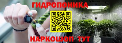 сатива Ачхой-Мартан